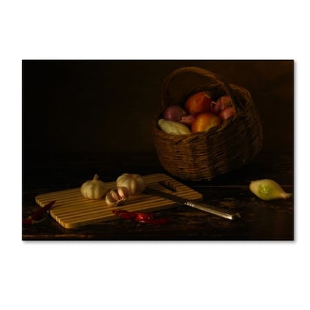 Ustina Green 'Still Life With Colors Onions And Garlic' Canvas Art,22x32